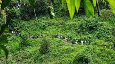 ecotourism