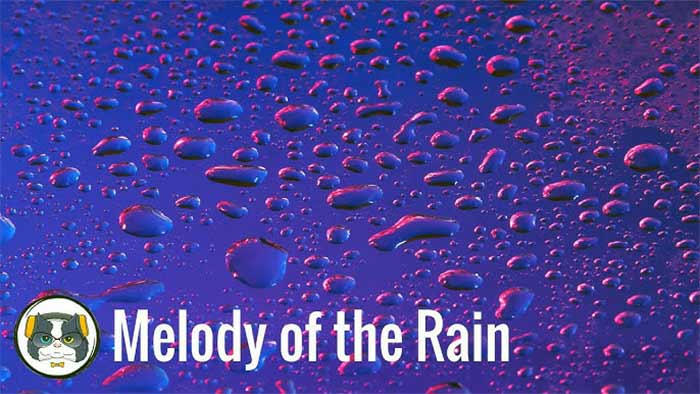 نقد هنری، نمونه ها موسیقی «نوای باران»